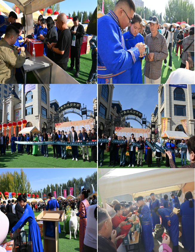 图片1(1).png
