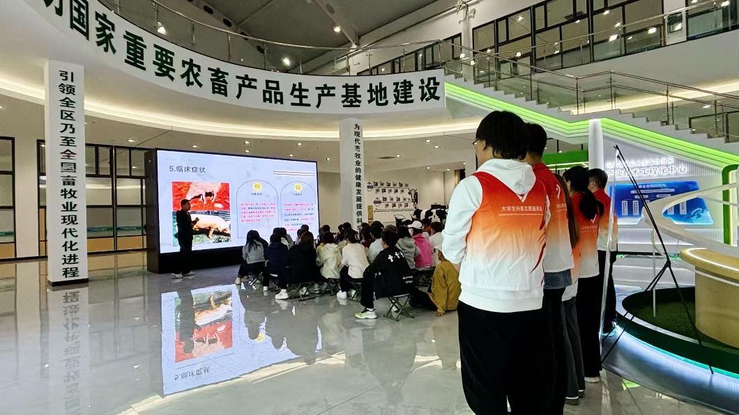 图片16.png 图片16.png